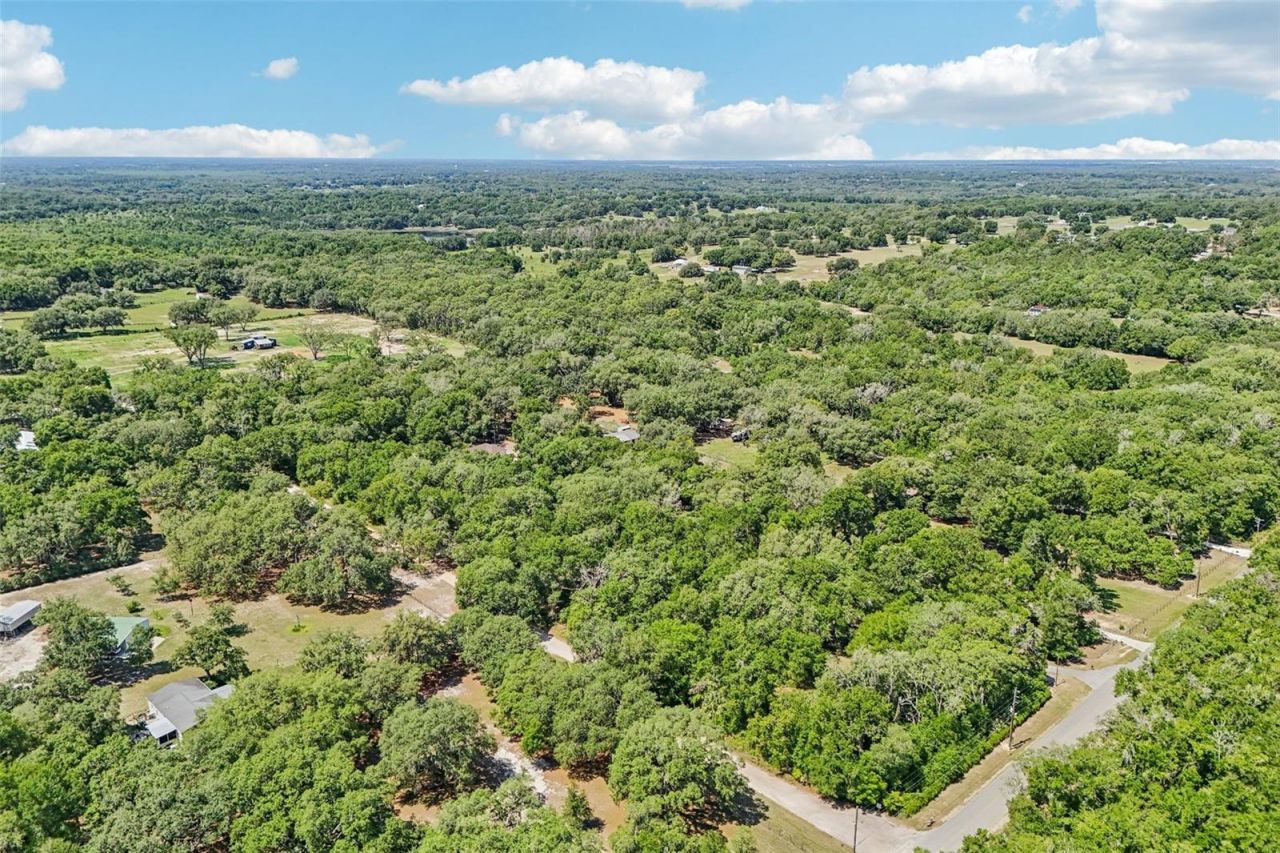 4546 Griffin View Drive, Lady Lake, FL 32159 Photo