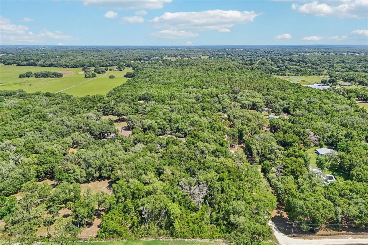 4546 Griffin View Drive, Lady Lake, FL 32159 Photo