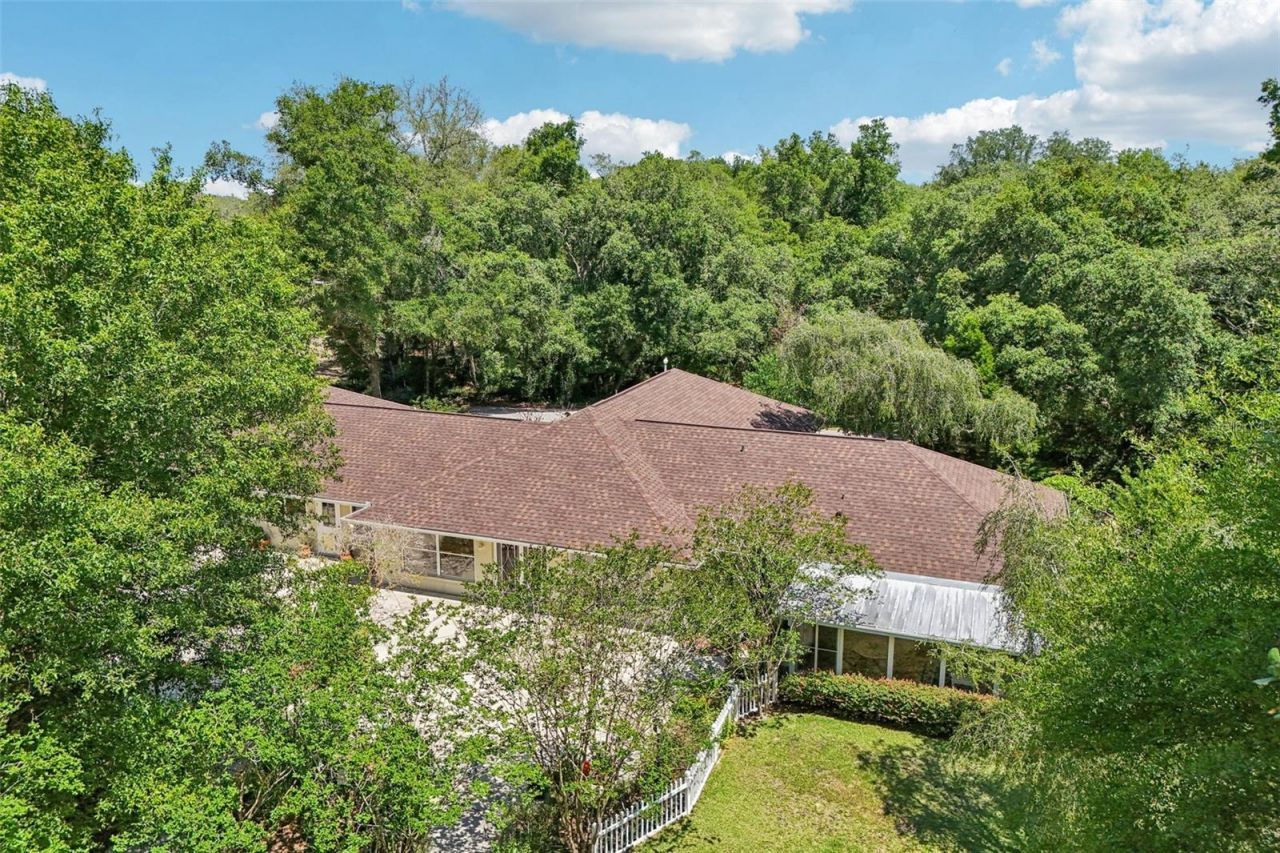 4546 Griffin View Drive, Lady Lake, FL 32159 Photo