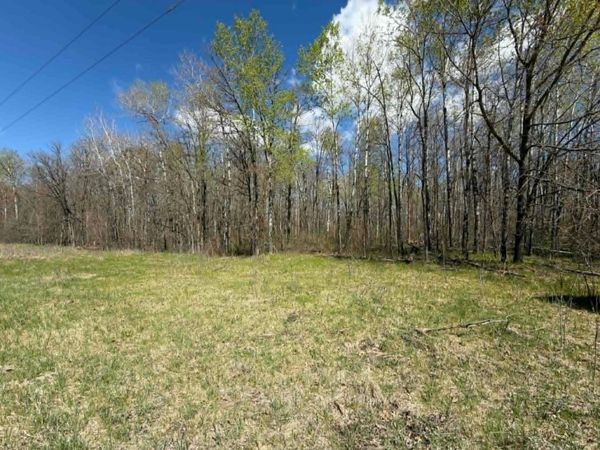 TBD Lamon Road NE, Bemidji, MN 56601