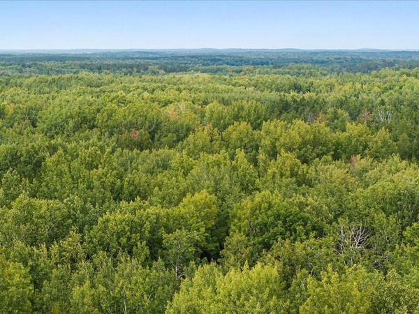 Lot I Sandbar Lane , Merrifield, MN 56465