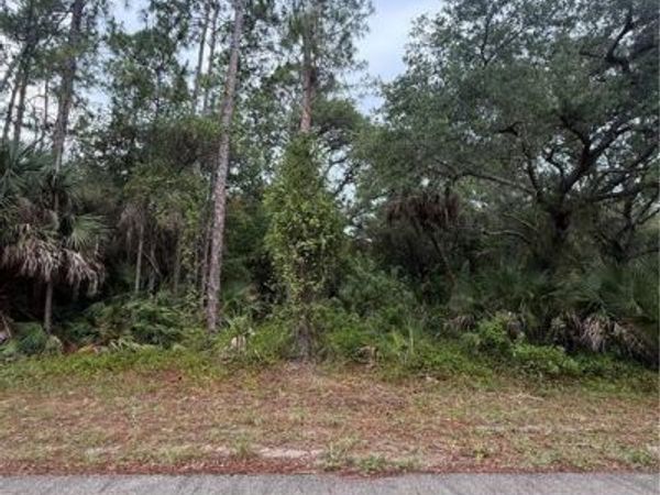 1659 Lake AVE , LEHIGH ACRES, FL 33972