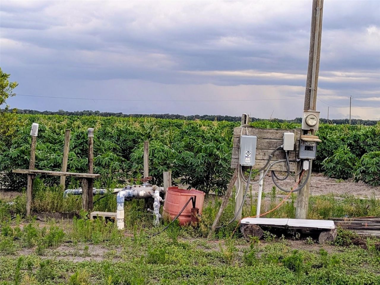 0 Mineral Branch Road, Zolfo Springs, FL 33890 Photo