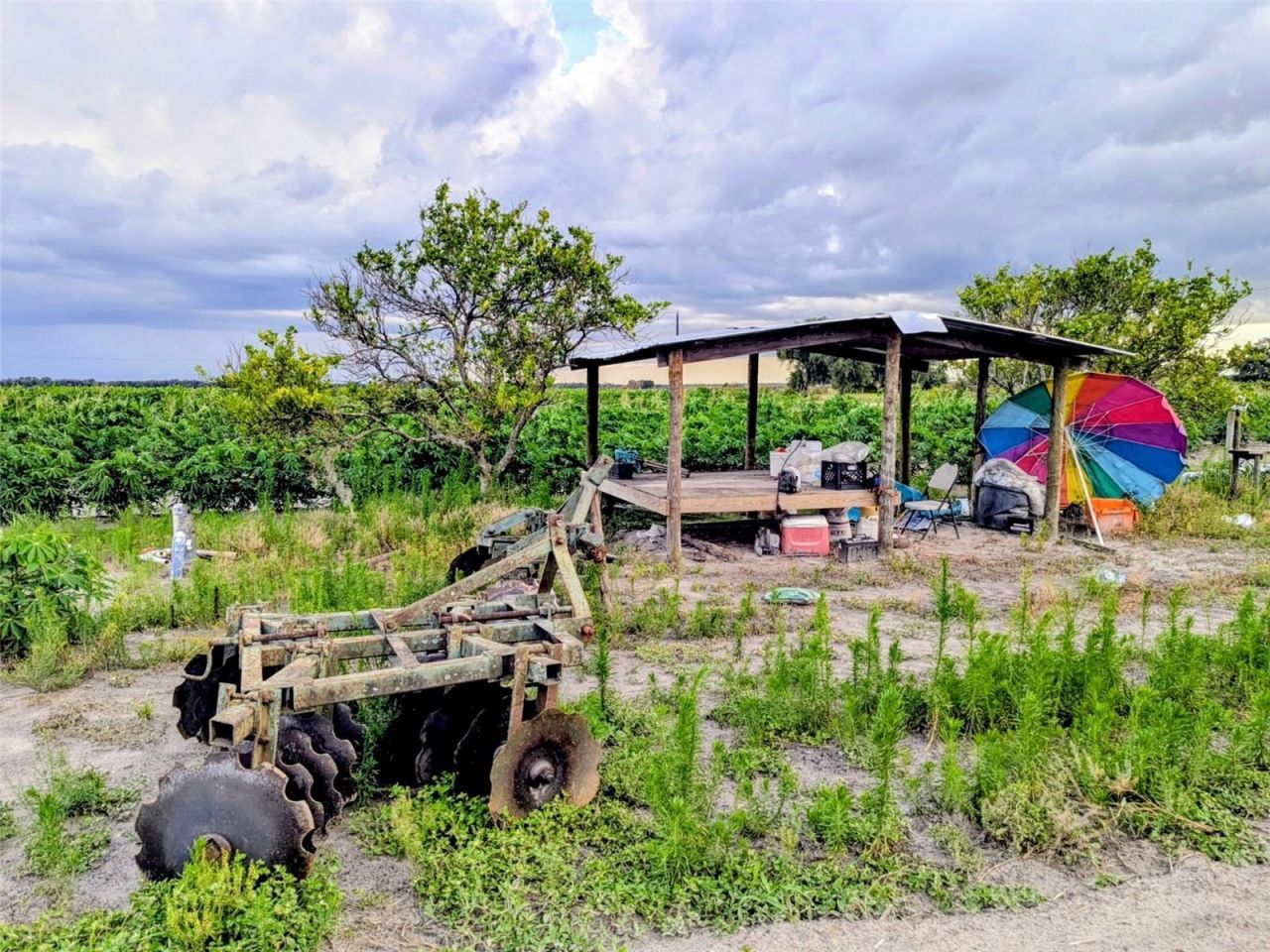 0 Mineral Branch Road, Zolfo Springs, FL 33890 Photo