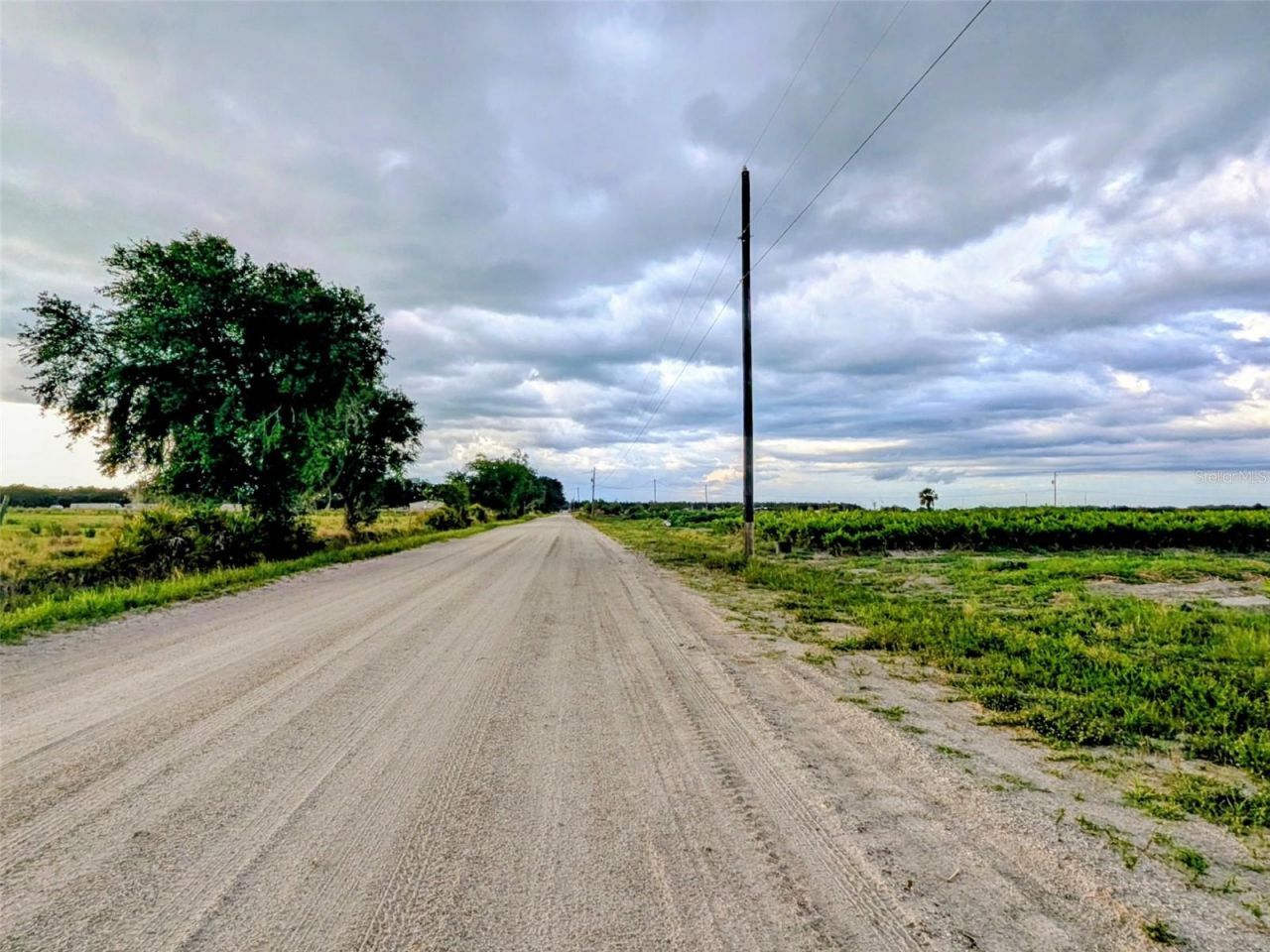 0 Mineral Branch Road, Zolfo Springs, FL 33890 Photo