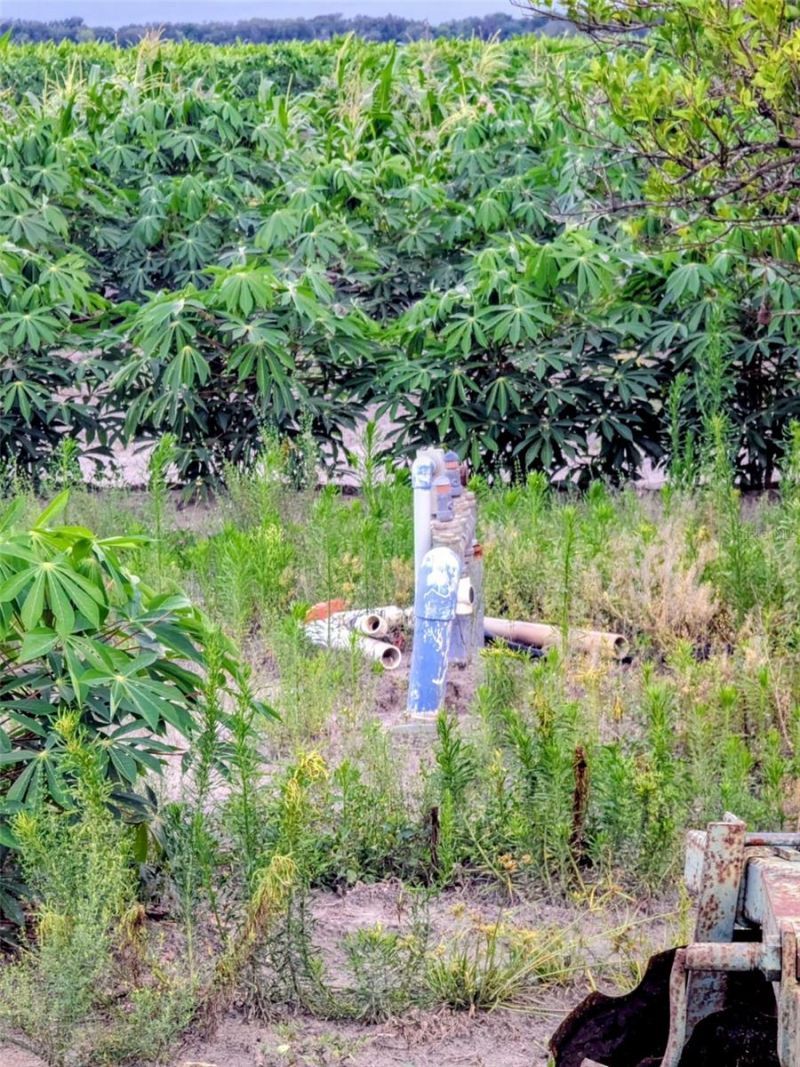 0 Mineral Branch Road, Zolfo Springs, FL 33890 Photo