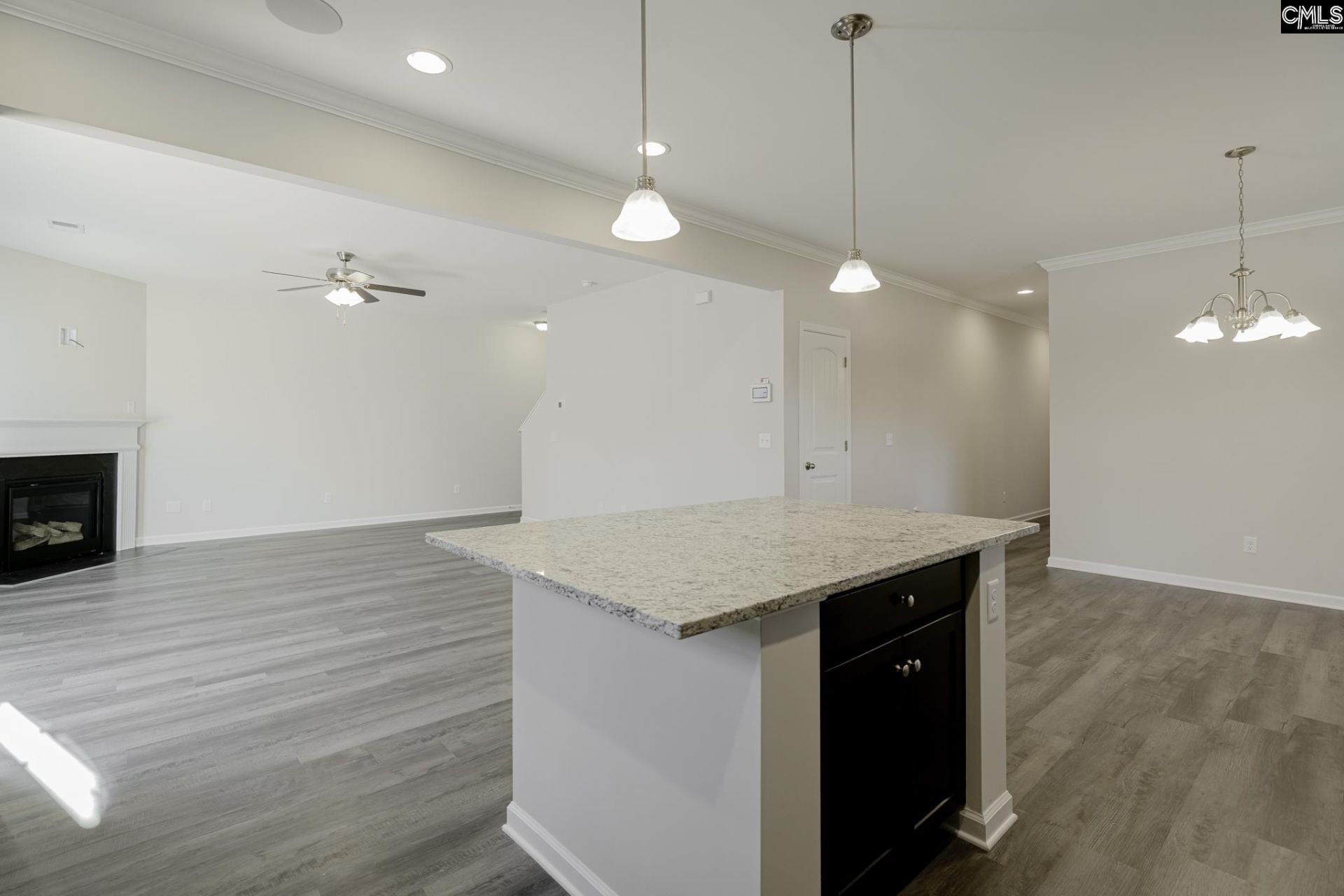 239 Honey Hill Way  Photo 14