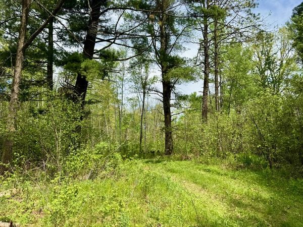 XYZ County Road 39 , Willow River, MN 55795