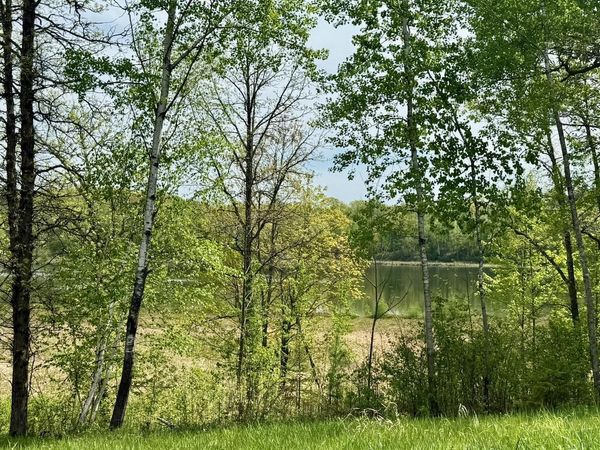 XYZ Dailey Lake Road , Willow River, MN 55795