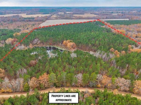57.9 ac County Road 291, Water Valley, MS 38965