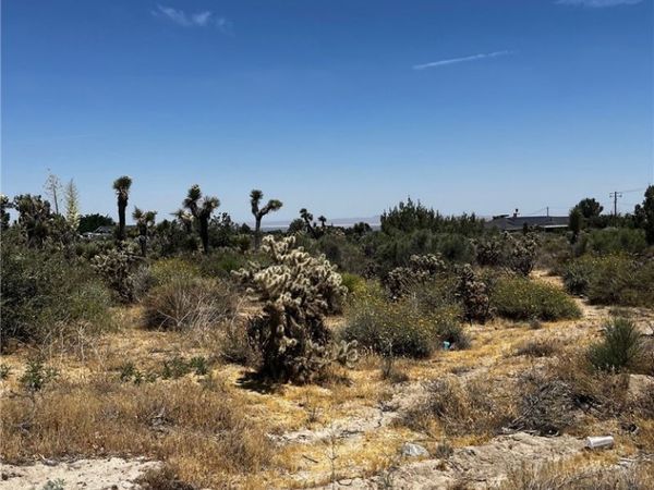 0 No Name, Phelan, CA 92371