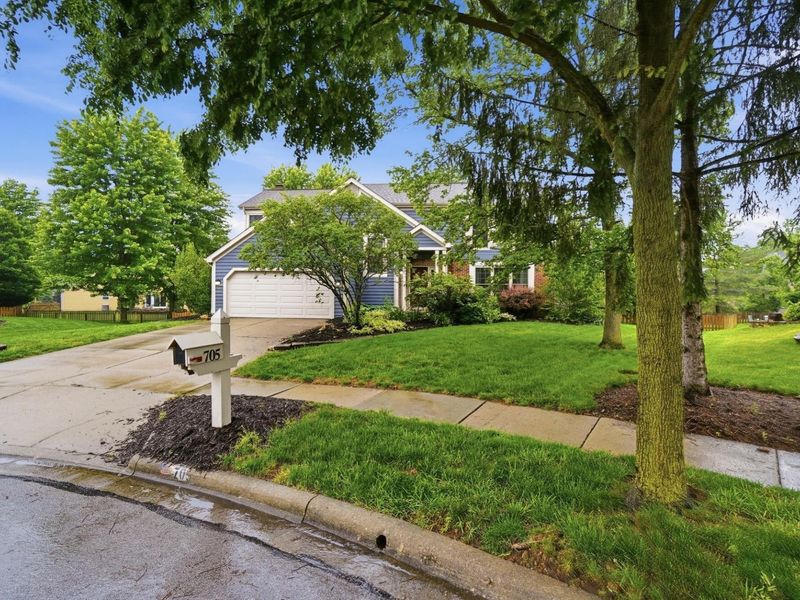 705 Whithorn Court, Westerville, OH 43081 Photo 4