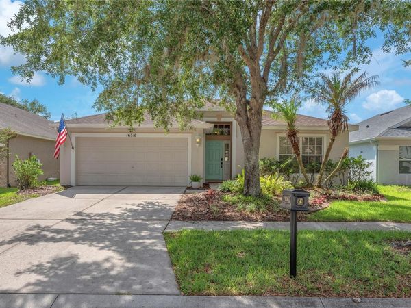 16316 BRIDGEGLADE LANE , LITHIA, FL 33547