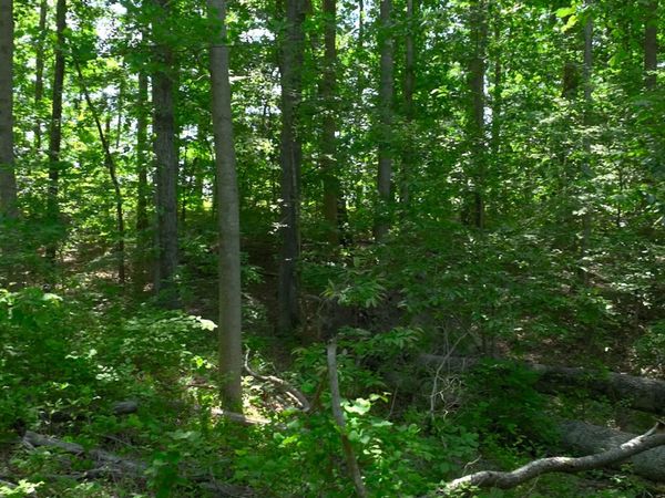 0 Oak Hill , Lyles, TN 37098