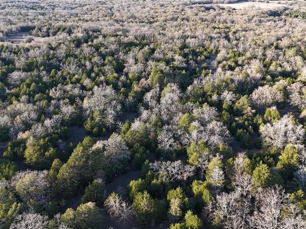 TBD County Road 442, Teague, TX 75860