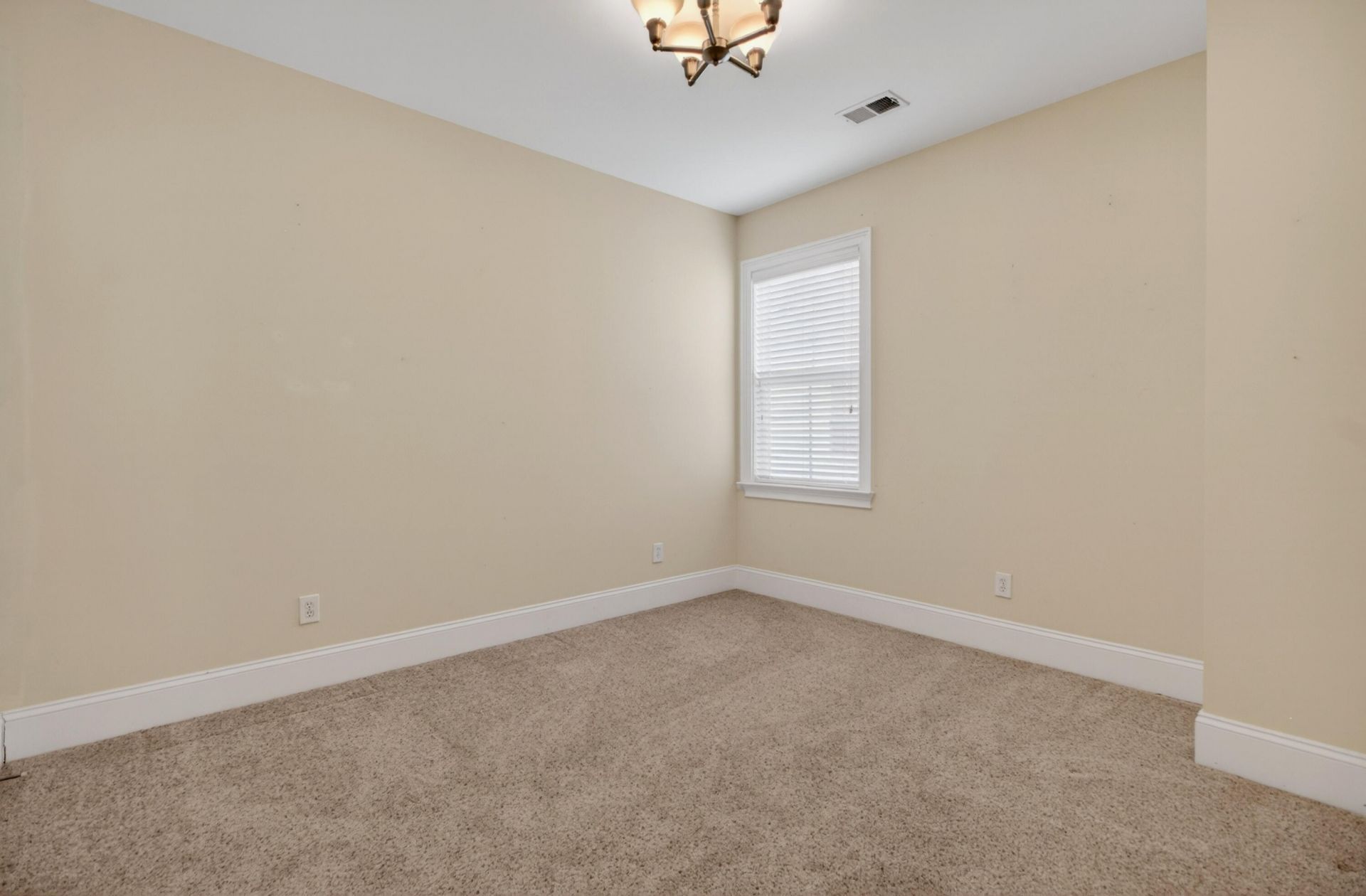 120 Westoe Street Photo 35