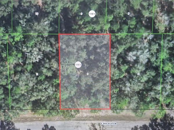 593 E MALAGA LANE , DUNNELLON, FL 34434