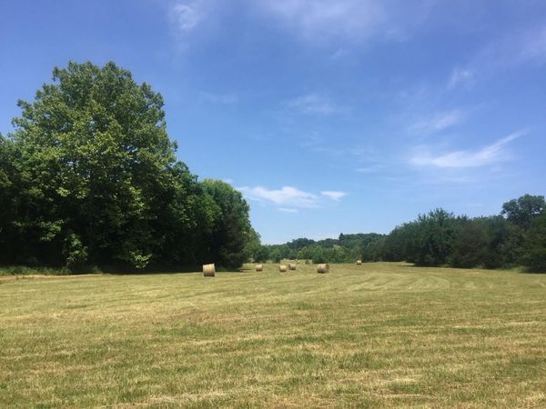 8285 Haley Rd , College Grove, TN 37046