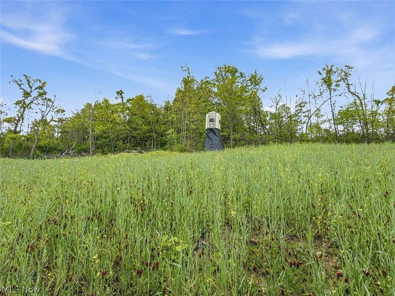 95 acres Newlon Road, Malta, OH 43758 Photo 10