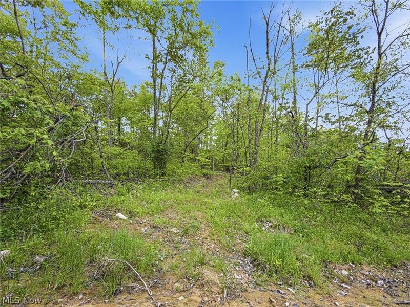 95 acres Newlon Road, Malta, OH 43758 Photo 11
