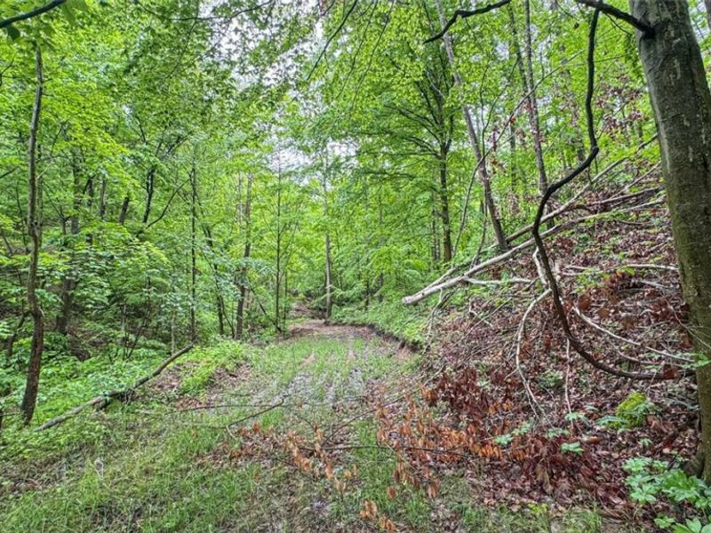 95 acres Newlon Road, Malta, OH 43758 Photo 12