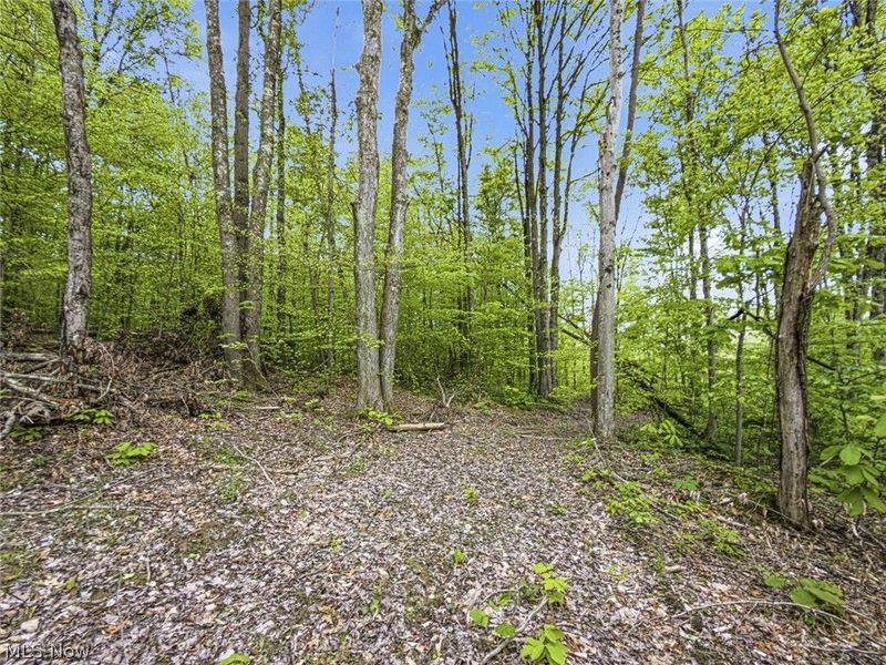 95 acres Newlon Road, Malta, OH 43758 Photo 12