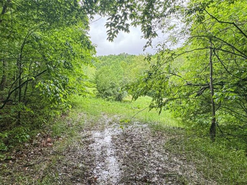 95 acres Newlon Road, Malta, OH 43758 Photo 13