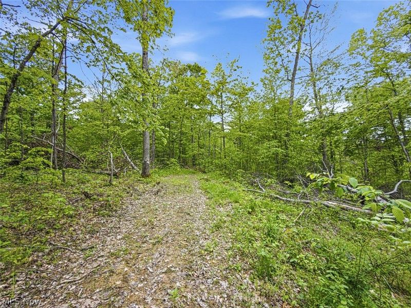 95 acres Newlon Road, Malta, OH 43758 Photo 13