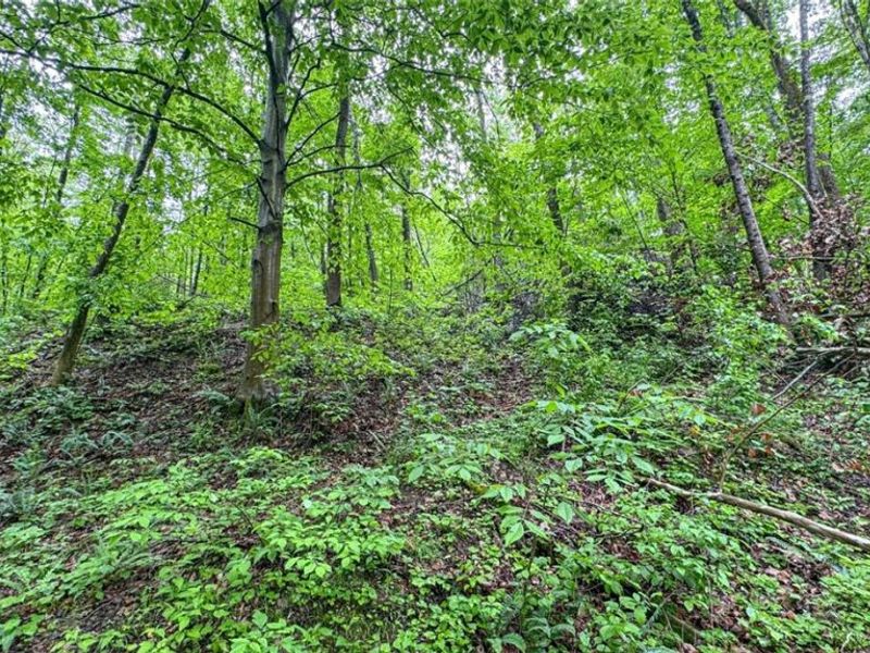 95 acres Newlon Road, Malta, OH 43758 Photo 14
