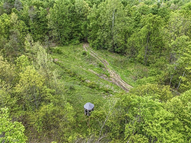 95 acres Newlon Road, Malta, OH 43758 Photo 14