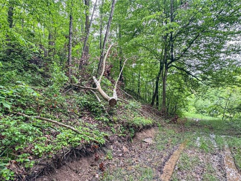 95 acres Newlon Road, Malta, OH 43758 Photo 15