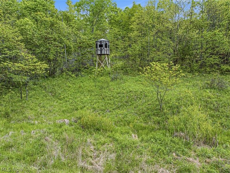95 acres Newlon Road, Malta, OH 43758 Photo 15