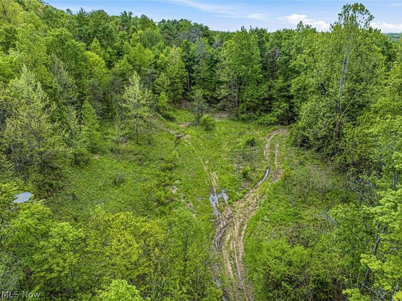 95 acres Newlon Road, Malta, OH 43758 Photo 16
