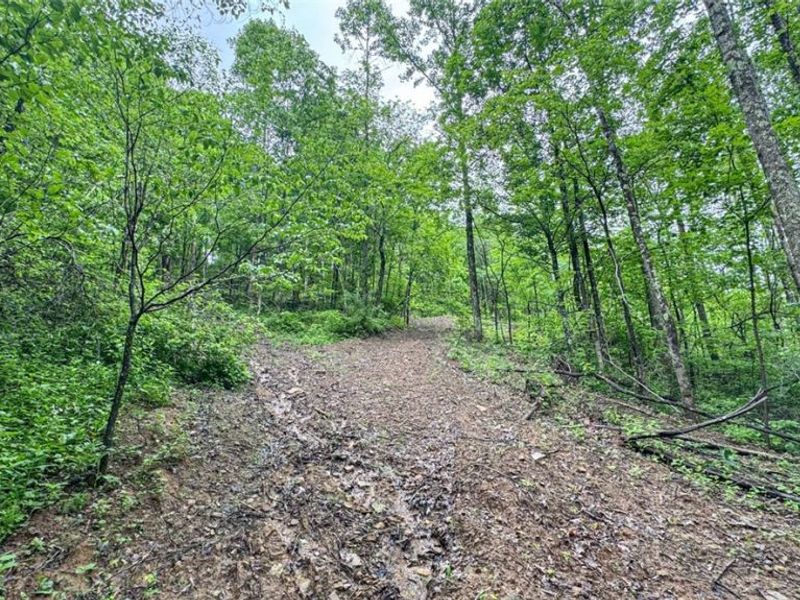 95 acres Newlon Road, Malta, OH 43758 Photo 17