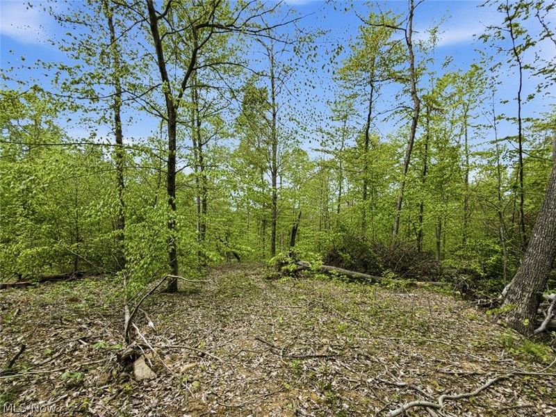 95 acres Newlon Road, Malta, OH 43758 Photo 17