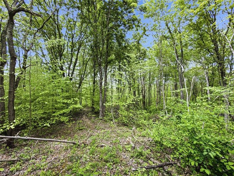 95 acres Newlon Road, Malta, OH 43758 Photo 18