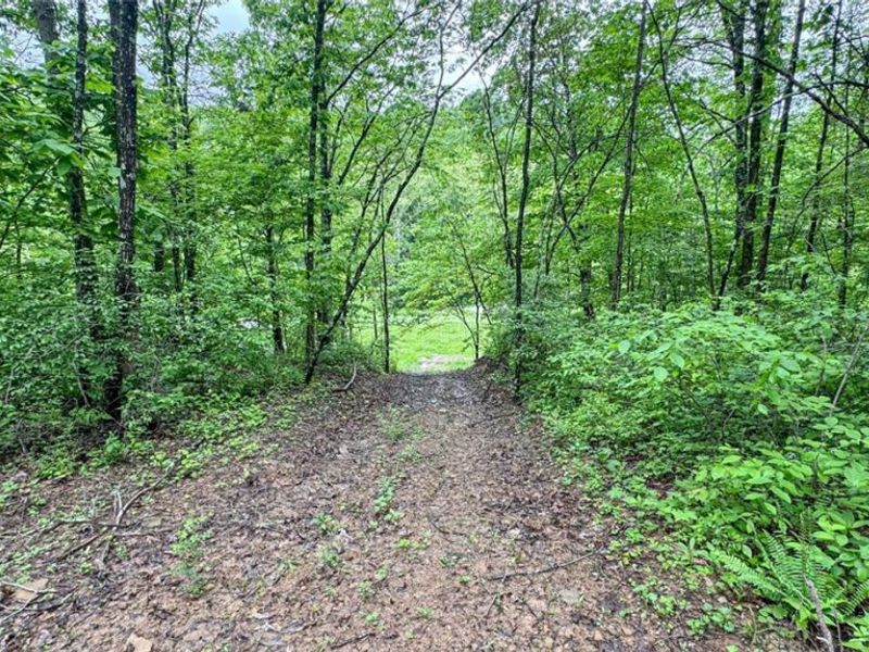 95 acres Newlon Road, Malta, OH 43758 Photo 19