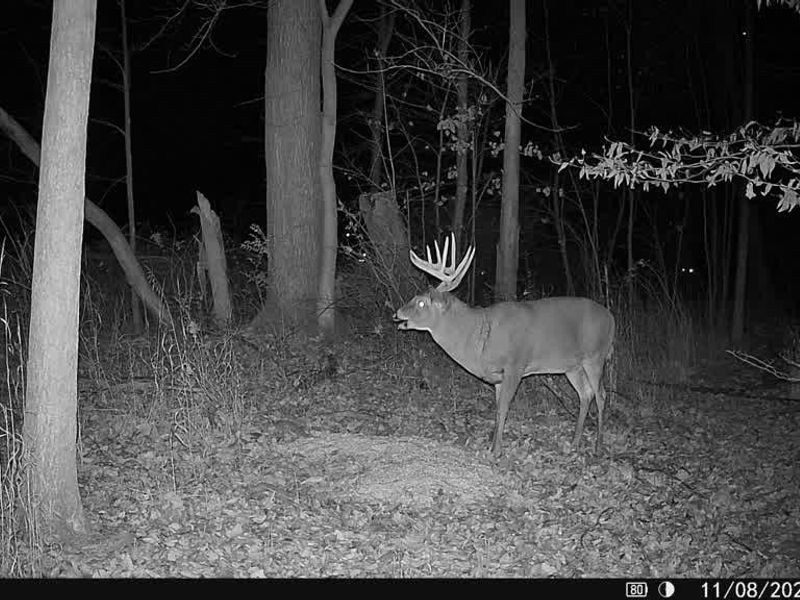 95 acres Newlon Road, Malta, OH 43758 Photo 19