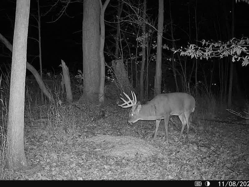 95 acres Newlon Road, Malta, OH 43758 Photo 20