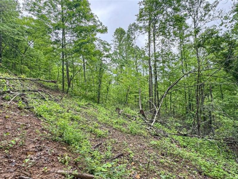95 acres Newlon Road, Malta, OH 43758 Photo 21