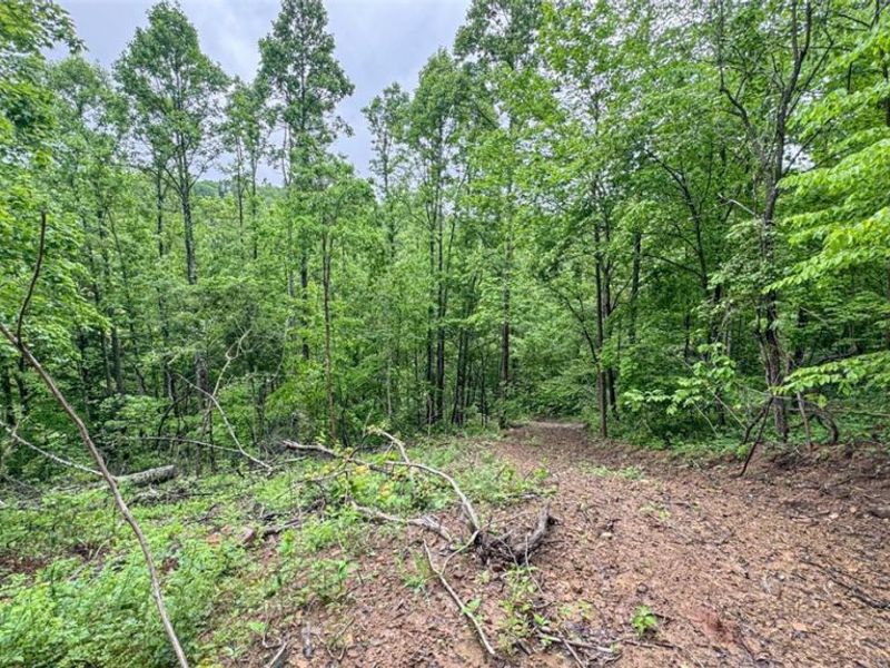 95 acres Newlon Road, Malta, OH 43758 Photo 23
