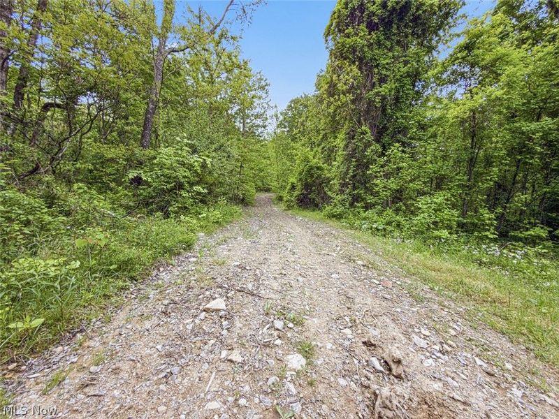 95 acres Newlon Road, Malta, OH 43758 Photo 4