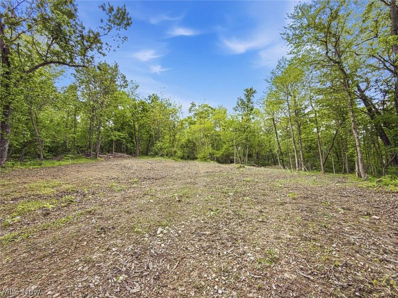 95 acres Newlon Road, Malta, OH 43758 Photo 5