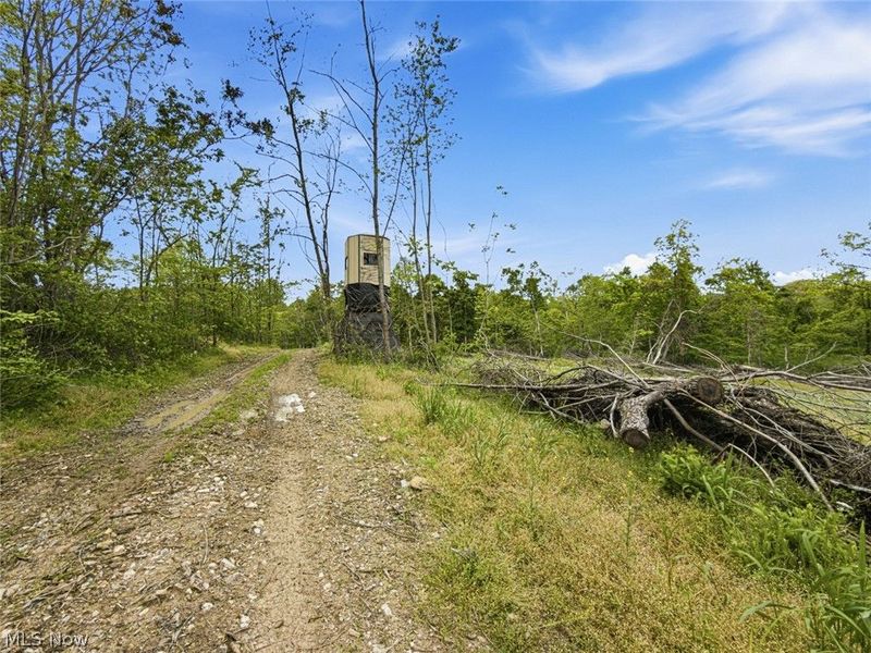95 acres Newlon Road, Malta, OH 43758 Photo 6