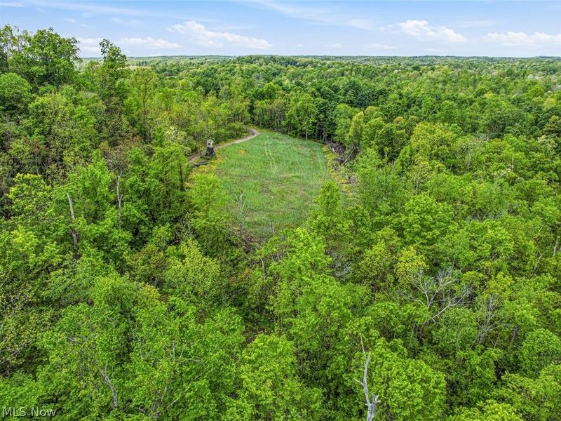 95 acres Newlon Road, Malta, OH 43758 Photo 7
