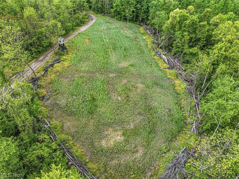 95 acres Newlon Road, Malta, OH 43758 Photo 8