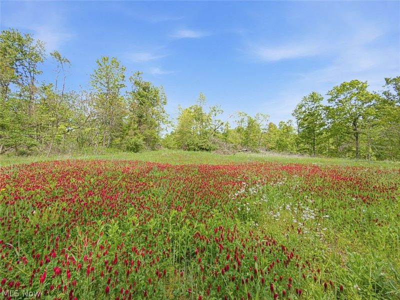 69 acres Newlon Road, Malta, OH 43758 Photo 10