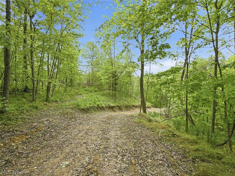 69 acres Newlon Road, Malta, OH 43758 Photo 11