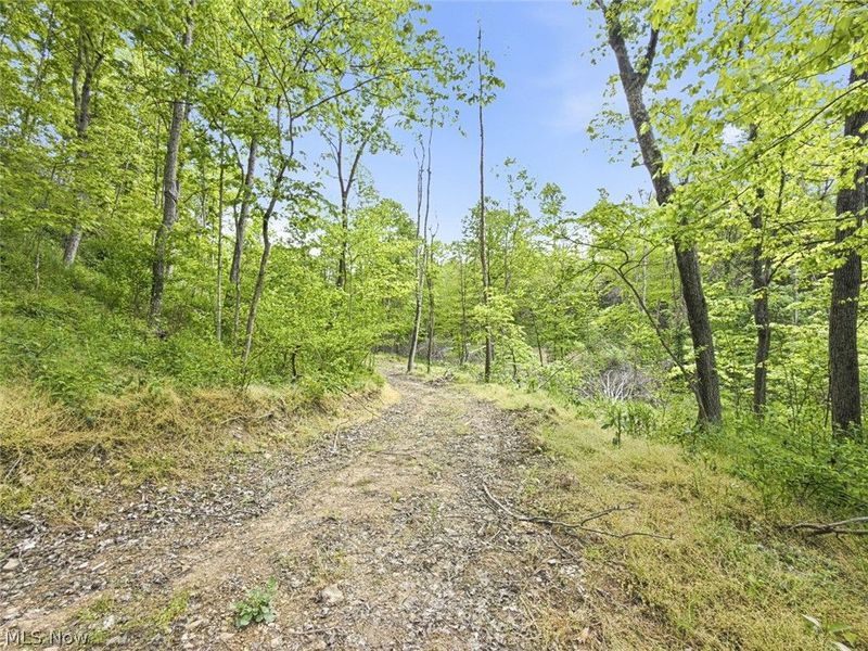 69 acres Newlon Road, Malta, OH 43758 Photo 12
