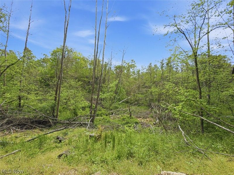 69 acres Newlon Road, Malta, OH 43758 Photo 13